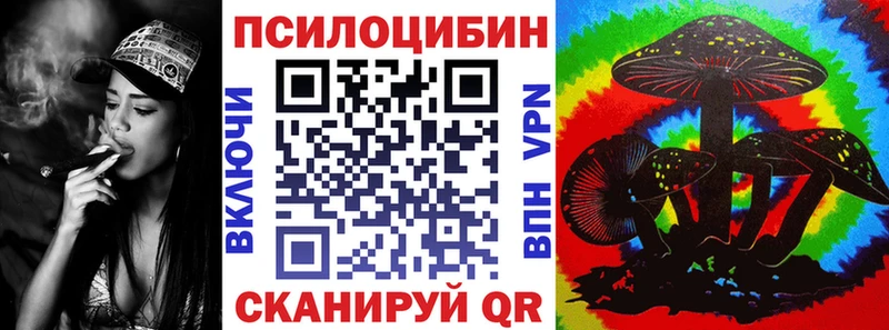 Купить закладки  Ершов  Псилоцибиновые грибы мухоморы 